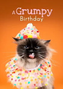 Grappige verjaardagskaart van grumpy kat met feestkleding