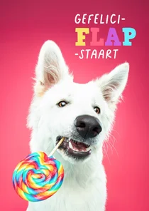 Grappige verjaardagskaart van herdershond met lolly