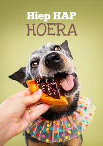 Grappige verjaardagskaart van hond met cake en slabber