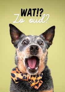 Grappige verjaardagskaart van schrikkende hond leeftijd