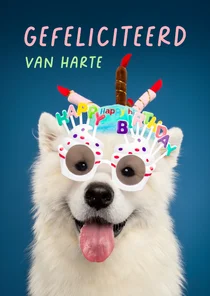 Grappige verjaardagskaart witte hond met feesthoed