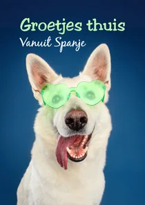 Grappige vrolijke vakantiekaart van hond met zonnebril