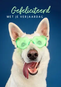 Grappige vrolijke verjaardagskaart van hond met zonnebril
