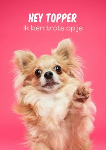 Grappige wenskaart chihuahua trots
