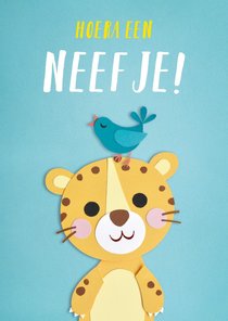 Hoera een neefje! baby panter