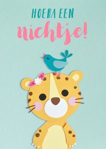 Hoera een nichtje! baby panter