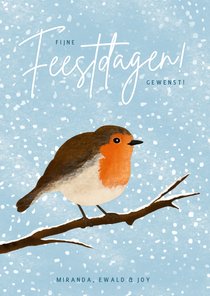 Kerskaart met illustratie van roodborstje in de winter