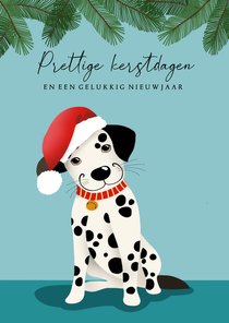 Kerstkaart - Dalmatiër met een kerstmuts op