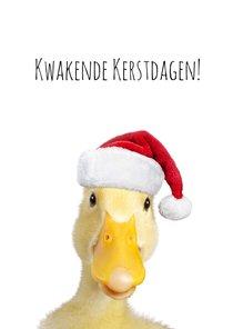 Kerstkaart eend met kerstmuts