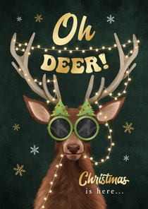 Kerstkaart grappig rendier lampjes oh deer sneeuw