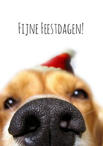 Kerstkaart hondensnuit met muts