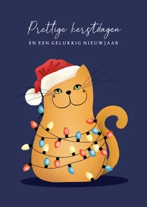 Kerstkaart - kat in wirwar van kerstlampjes