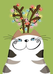 Kerstkaart - Kat met kerstverlichting