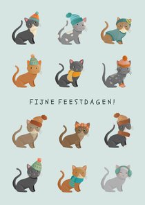 Kerstkaart katten in winterkleding