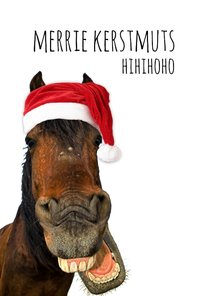 Kerstkaart lachend paard met kerstmuts