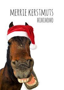 Kerstkaart lachend paard met kerstmuts