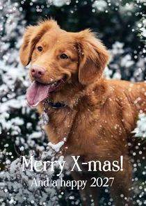 Kerstkaart met foto van hond en sneeuwvlokjes