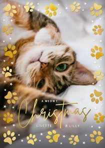Kerstkaart met foto van je poes of kat en pootafdrukken