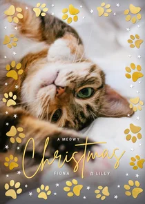 Kerstkaart met grote foto kat of hond en pootafdrukjes