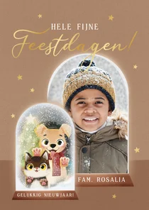 Kerstkaart met hond en kat en eigen foto in sneeuwbol