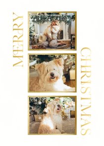 Kerstkaart met klassieke typografie en foto's