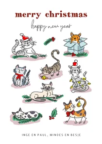 Kerstkaart met poezen
