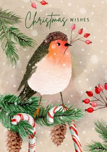 Kerstkaart met roodborst en zuurstokken