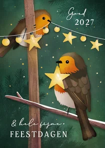 Kerstkaart met roodborstje en kerst lampjes
