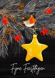 Kerstkaart met roodborstje en kerstster