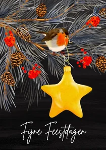 Kerstkaart met roodborstje en kerstster