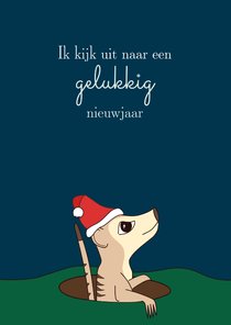 Kerstkaart met stokstaart