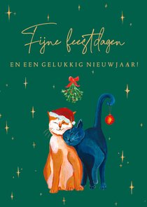 Kerstkaart met twee poezen en sterren 