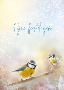 Kerstkaart pimpelmeesjes met sneeuwrand