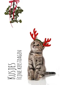 Kerstkaart poesje met maretak