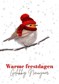 Kerstkaart roodborst rode muts