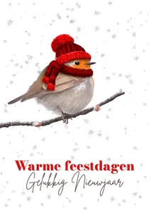 Kerstkaart roodborst rode muts