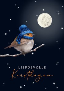 Kerstkaart roodborstje met gebreide muts