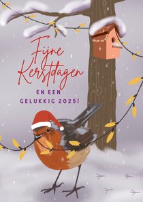 Kerstkaart roodborstje met vogelhuisje