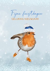 Kerstkaart schaatsend roodborstje met muts