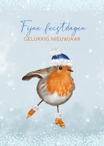 Kerstkaart schaatsend roodborstje met muts