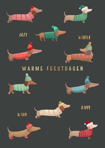 Kerstkaart teckels met winterkleding