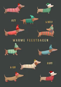 Kerstkaart teckels met winterkleding