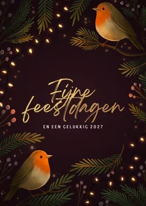 Kerstkaart twee roodborstjes met kerstlampjes