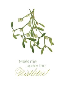 Kerstkaart 'Under the Mistletoe'