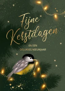 Kerstkaart vogeltje kerst lichtjes