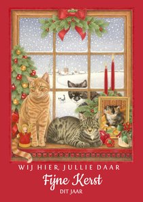 Kerstkaart wij hier jullie daar fijne kerst dit jaar katten