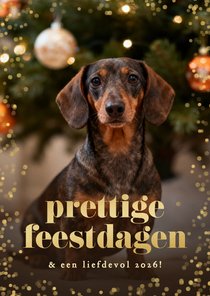 Kerstkaartje confetti grote foto hond prettige feestdagen