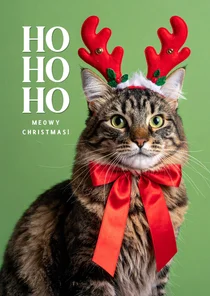 Kerstkaartje grappige kat met strik en haarband groen