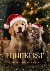 Kerstkaartje grote foto hond kat sfeervol fijne kerst