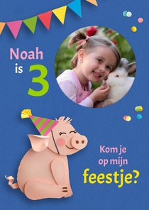 Kinderfeestje feestvarkentje